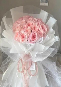 Organza Fabric插图24