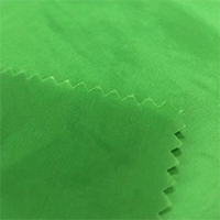 Taffeta Fabric插图6